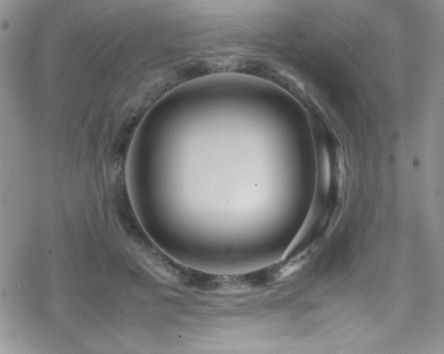 X0000070410601200606091153