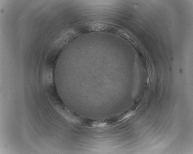 X0000070410602200606091153