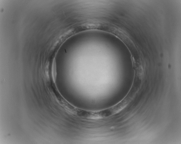 X0000070410604200606091153