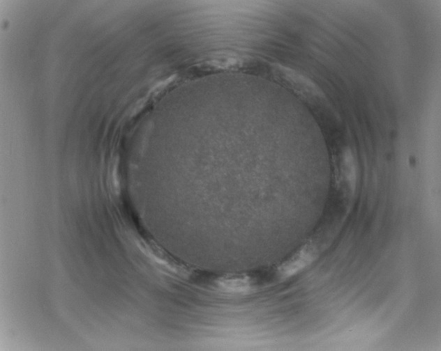 X0000070410606200606091153