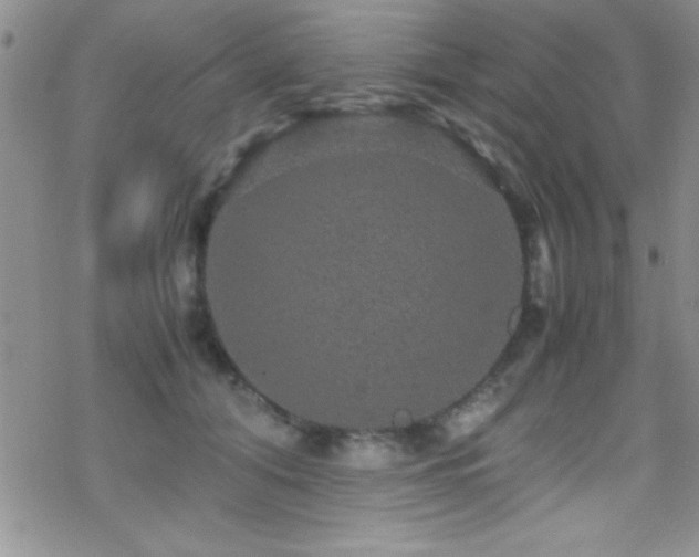 X0000070410608200606091153