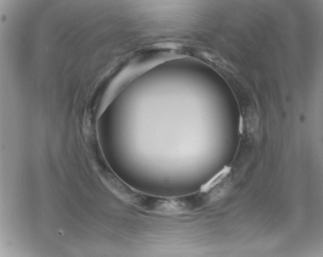 X0000070410611200606091153