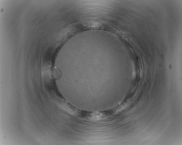 X0000070410612200606091153