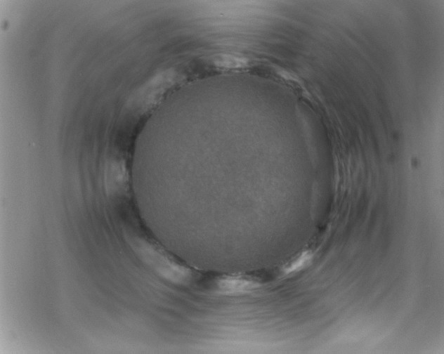 X0000070410614200606091153