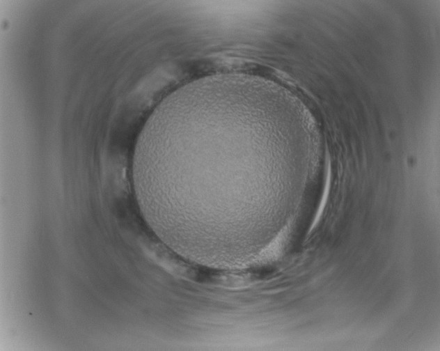 X0000070410615200606091153