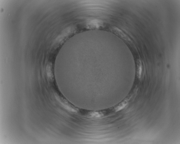 X0000070410616200606091153