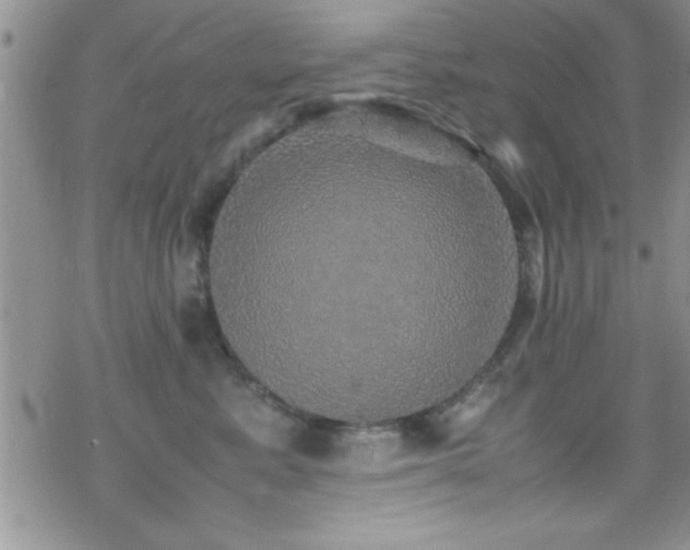 X0000070410619200606091153