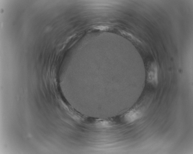 X0000070410620200606091153