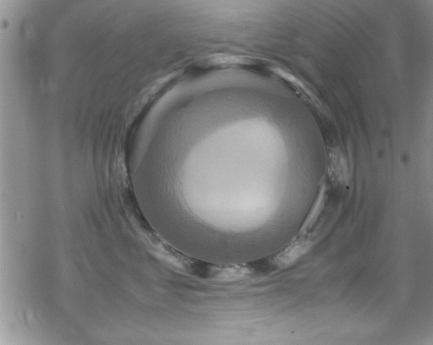 X0000070410621200606091153