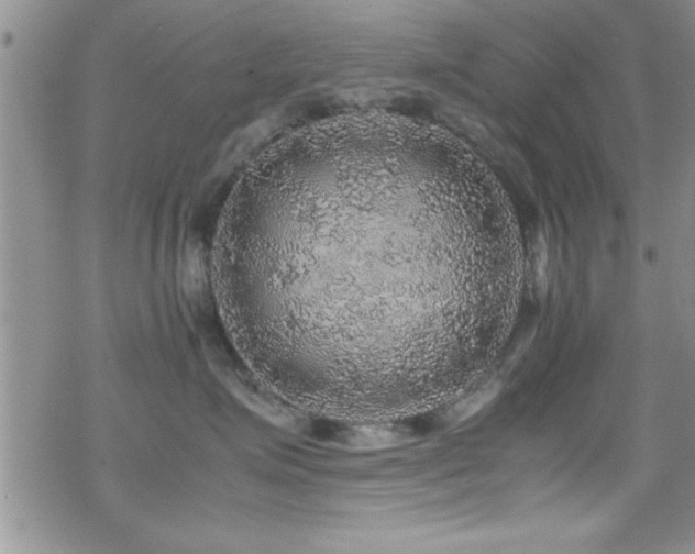 X0000070410623200606091153