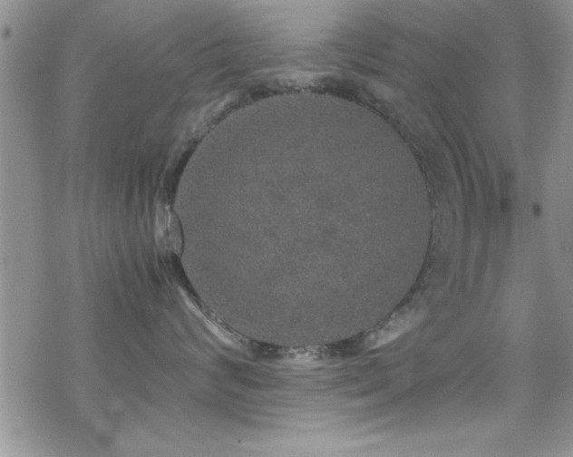 X0000070410624200606091153