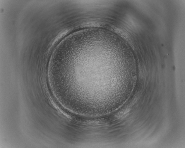 X0000070410625200606091152