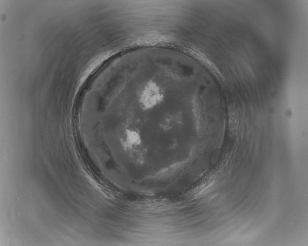 X0000070410626200606091152