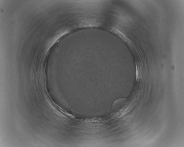 X0000070410627200606091152