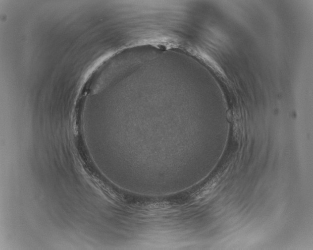 X0000070410628200606091152