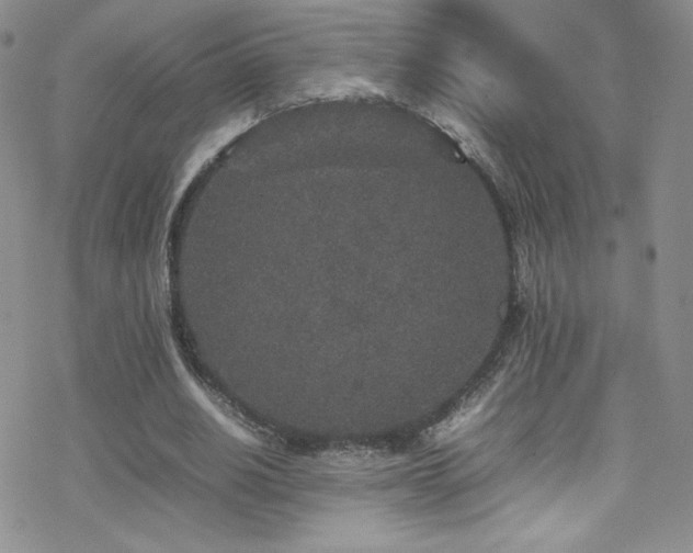 X0000070410630200606091152