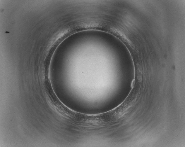 X0000070410631200606091152