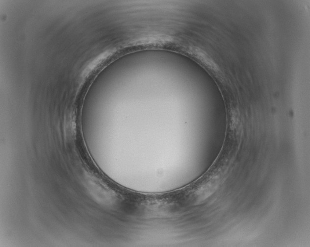 X0000070410632200606091152