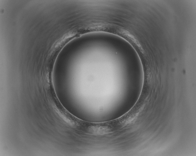 X0000070410633200606091152