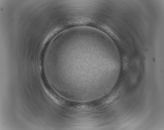 X0000070410634200606091152