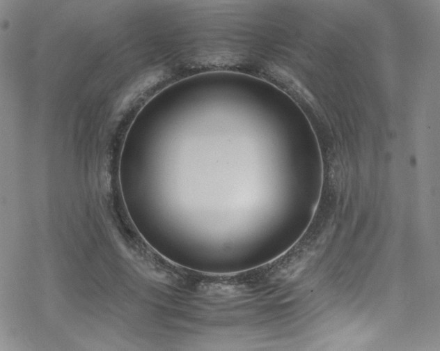 X0000070410635200606091152