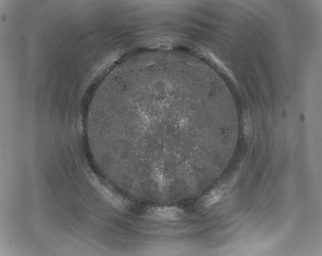 X0000070410637200606091152