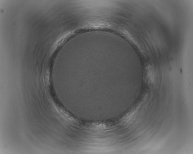 X0000070410640200606091152