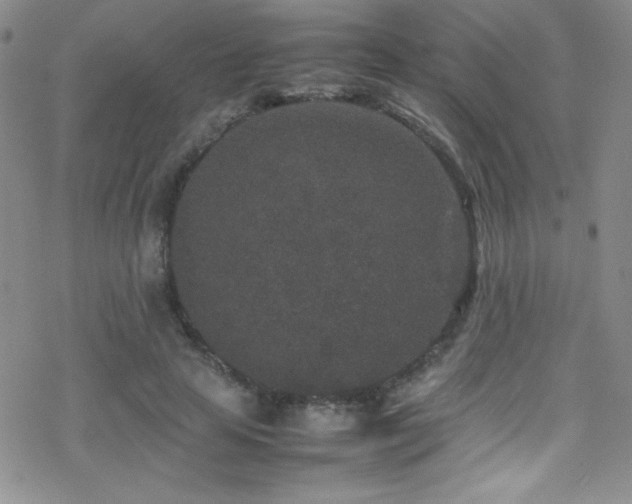 X0000070410641200606091152