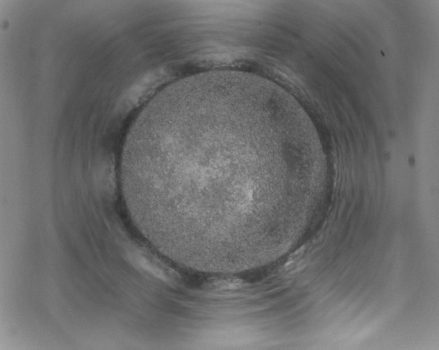 X0000070410642200606091152