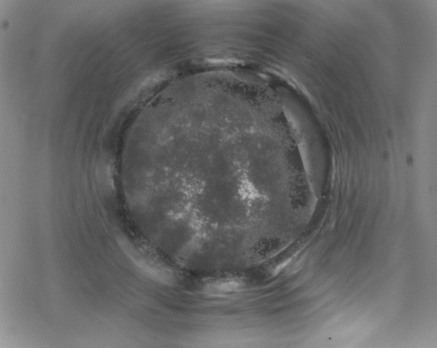 X0000070410643200606091152