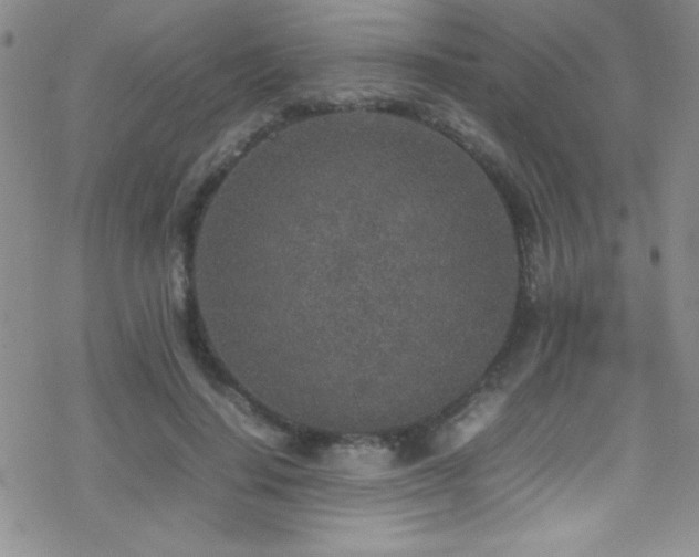 X0000070410644200606091152