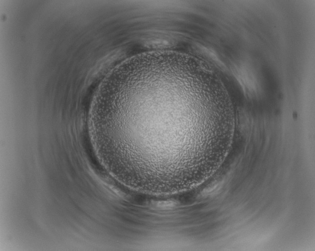 X0000070410645200606091152