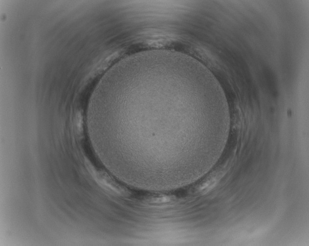 X0000070410646200606091152