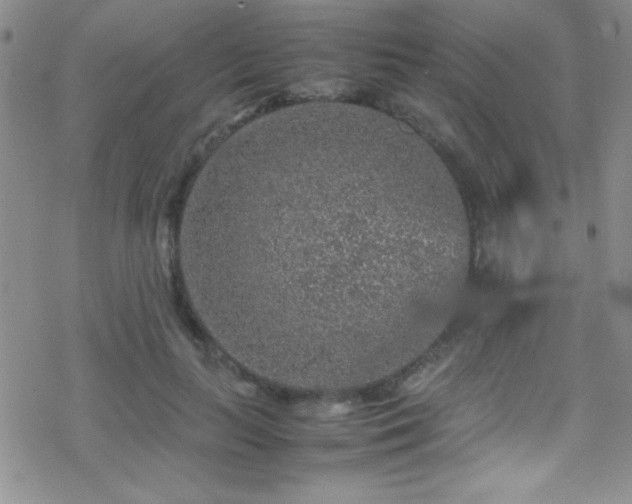 X0000070410647200606091152