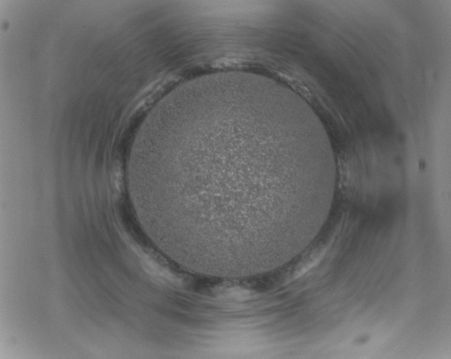 X0000070410648200606091152