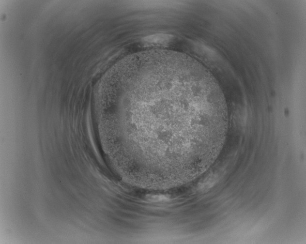 X0000070410649200606091152