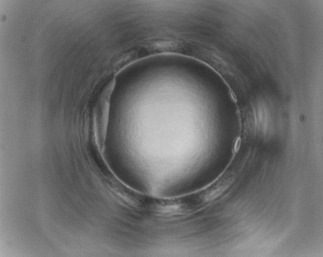 X0000070410651200606091152