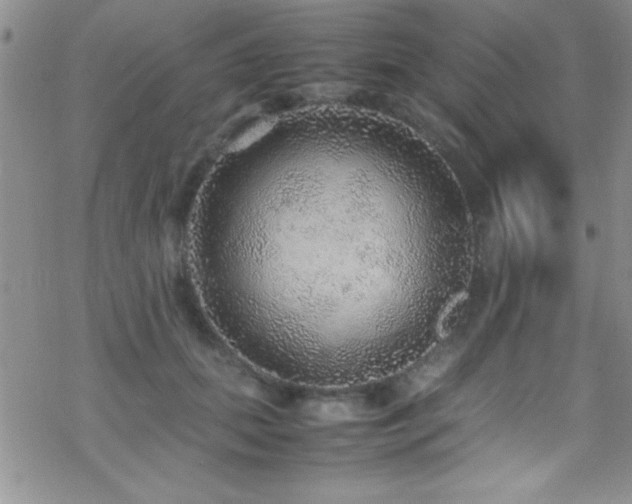 X0000070410655200606091152