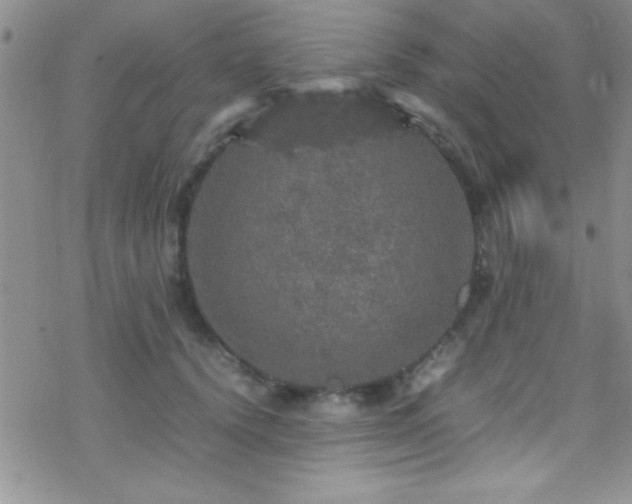 X0000070410656200606091152