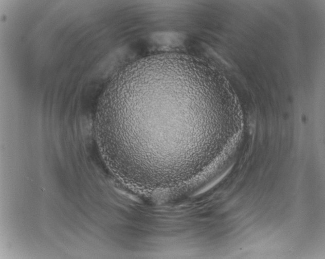 X0000070410657200606091152