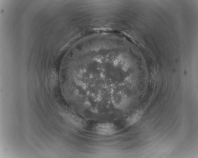 X0000070410659200606091152