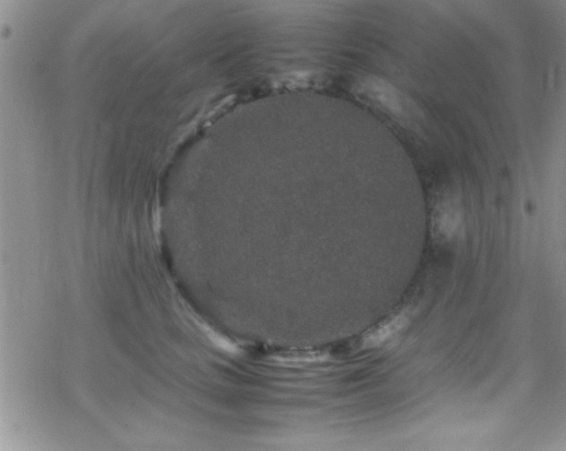 X0000070410661200606091152