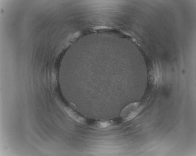 X0000070410662200606091152