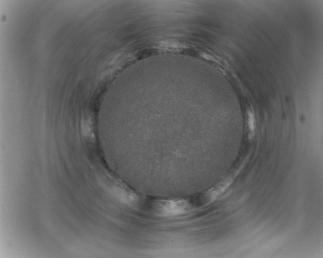 X0000070410663200606091152