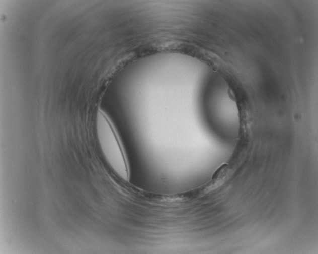 X0000070410664200606091153