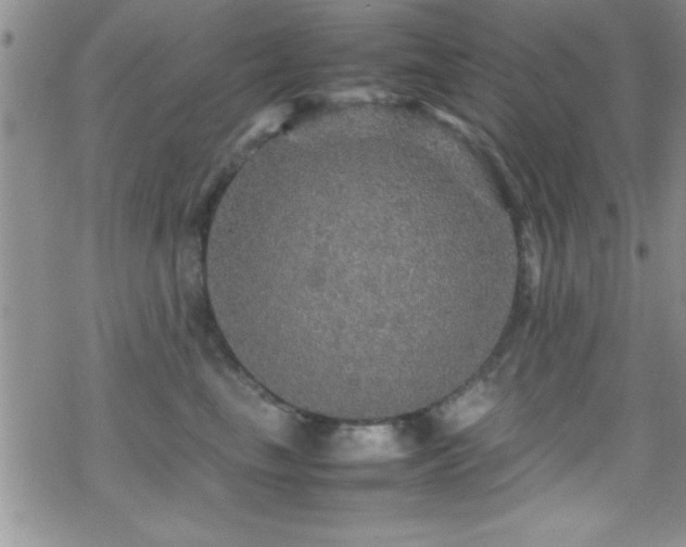 X0000070410665200606091153