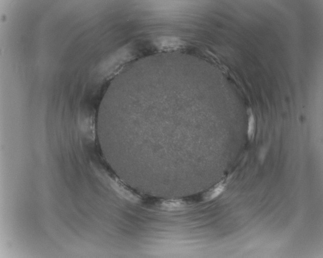 X0000070410666200606091153