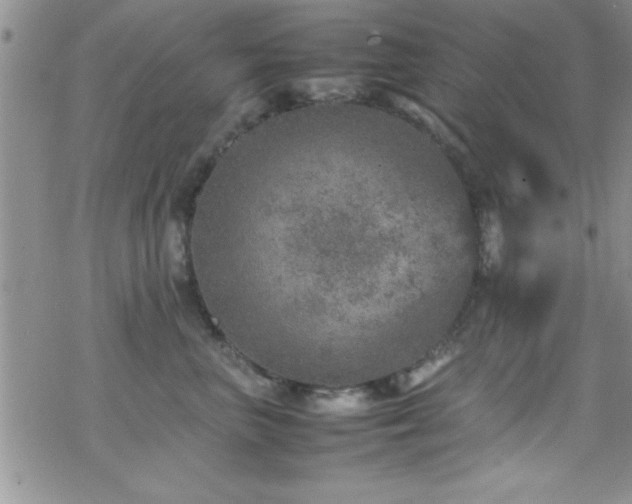 X0000070410667200606091153