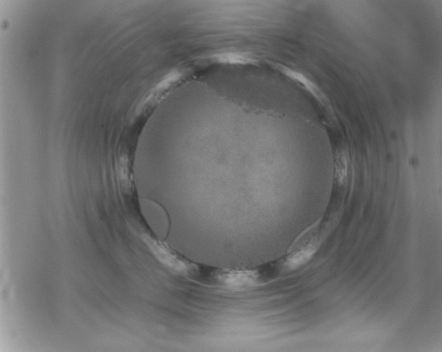 X0000070410670200606091153