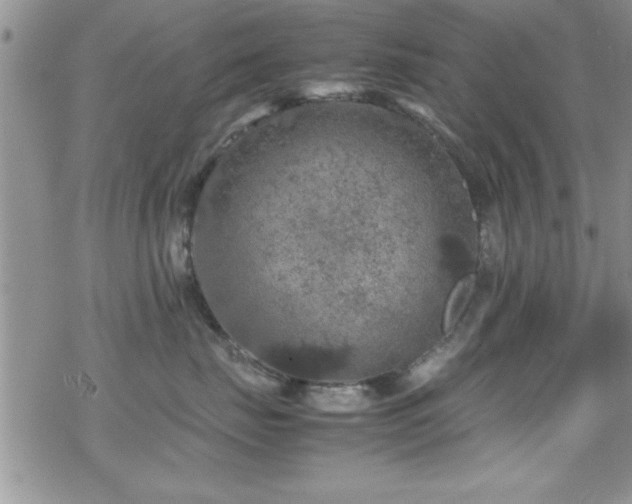 X0000070410671200606091153